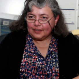 Dra. María del Carmen Wacher Rodarte