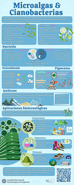 microalgas-cianobacterias